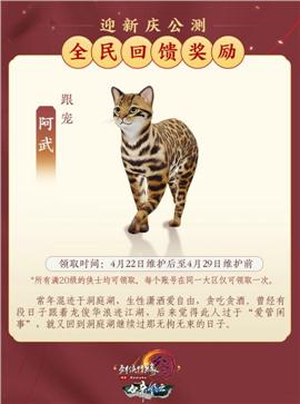 盛世 天龙八部私服